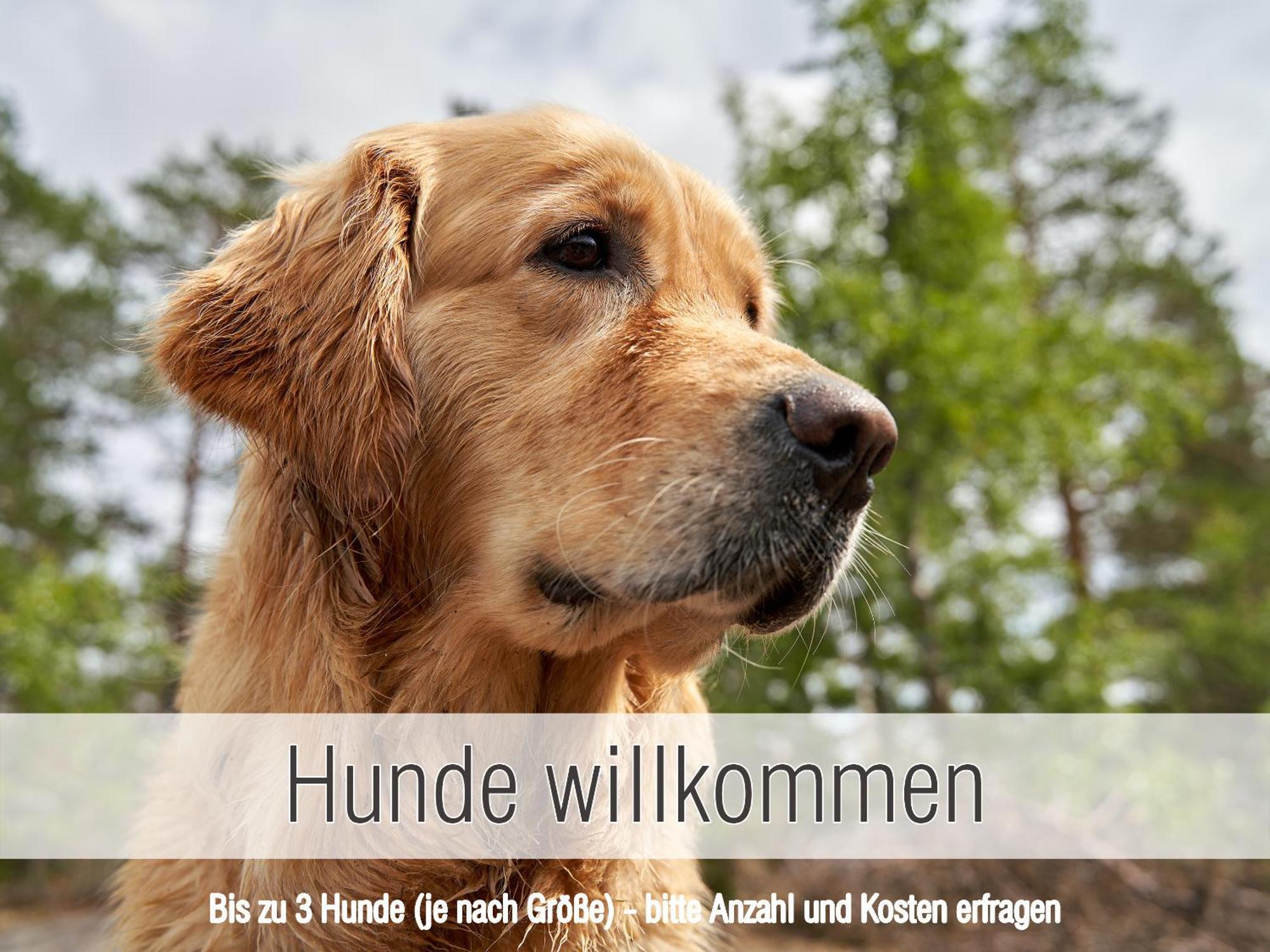 Huette41: Ganze Huette Nah Am See Mit Privatem Whirlpool, Sauna. Umzaeunt. 발트키르헨 외부 사진
